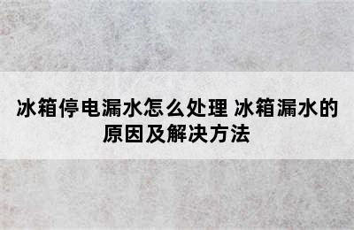 冰箱停电漏水怎么处理 冰箱漏水的原因及解决方法